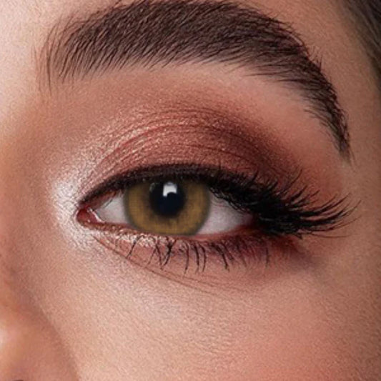Veni Bassia Brown - VC-01